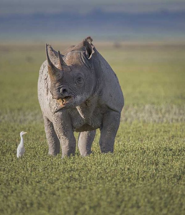 Ngorongoro-3a