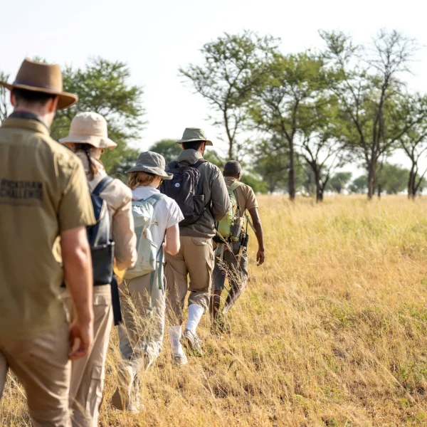 Pembezoni+Camp+–+Wilderness+Bush+Walk