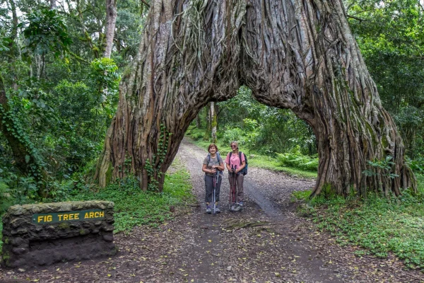 walking-safari-arusha-national-park